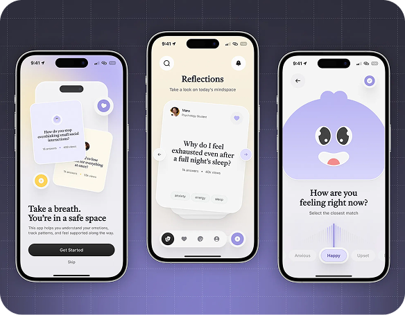 Web development showcase